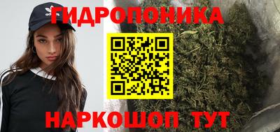 стафф Заводоуковск