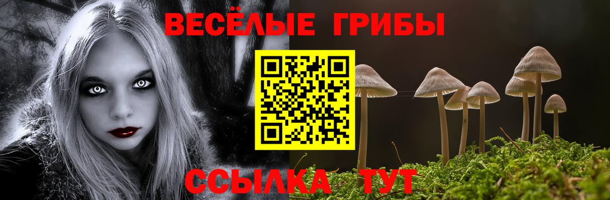 Псилоцибиновые грибы Psilocybe  Псилоцибиновые грибы GOLDEN TEACHER  купить наркотик  Вход с VPN  Валуйки 